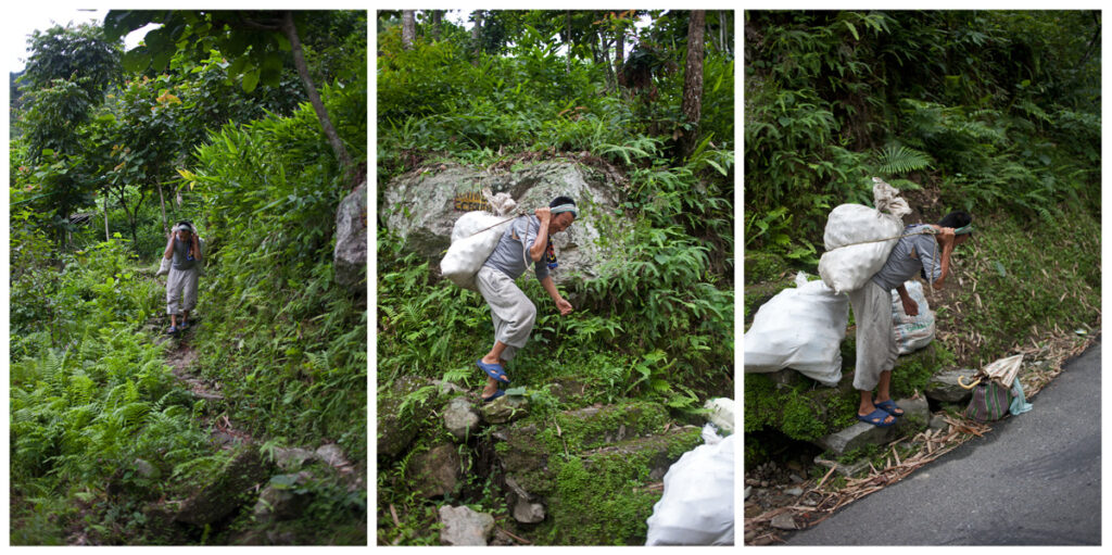 Farmer transporting potatoes from his farm on the hillsides of West Pendam in time for the weekly market at Singtham.